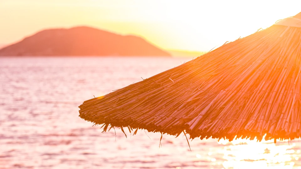 Campaigns, events, opportunities and creator tools